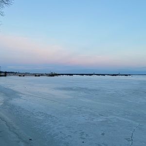 Meet your Posher, Bella